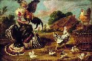Paul de Vos The fight between a turkey and a rooster Sweden oil painting artist